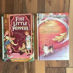 Chapter books bundle